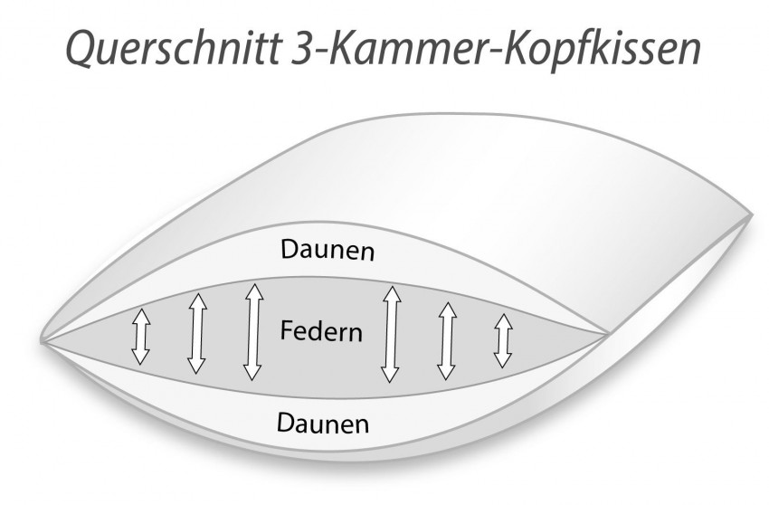 dreikammer